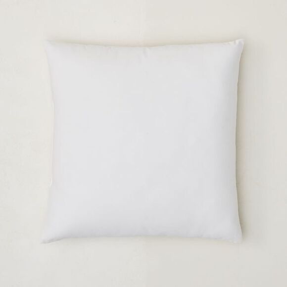 West Elm 18x18 Decorative Pillow Insert - Picture 1 of 6